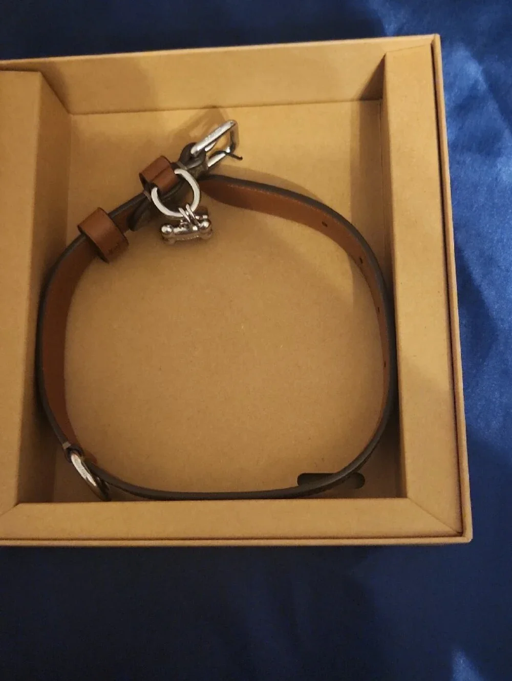 Coach Dog Collar